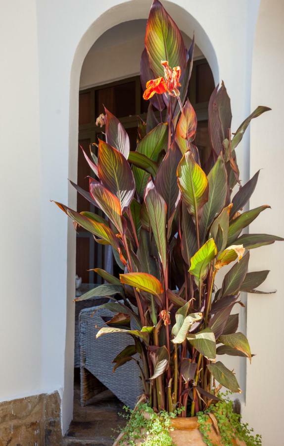 Amani Luxury Apartments Mombasa Zewnętrze zdjęcie